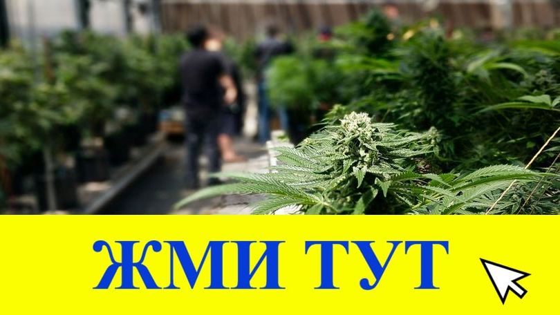 Купить наркотики в Октябрьском